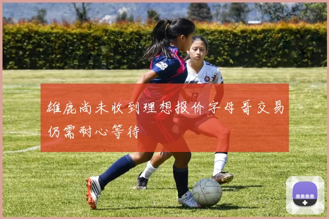 雄鹿尚未收到理想报价字母哥交易仍需耐心等待