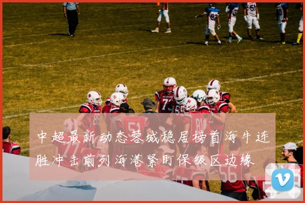 中超最新动态蓉城稳居榜首海牛连胜冲击前列海港紧盯保级区边缘