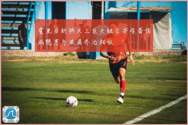 霍里分析热火三巨头组合字母哥伤病隐患与浓眉乔治相似